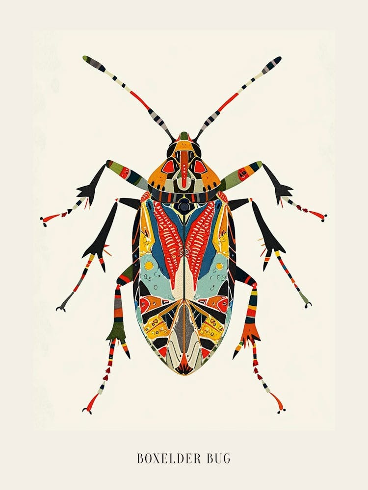 Colourful Insect Illustration Boxelder Bug 3 Poster