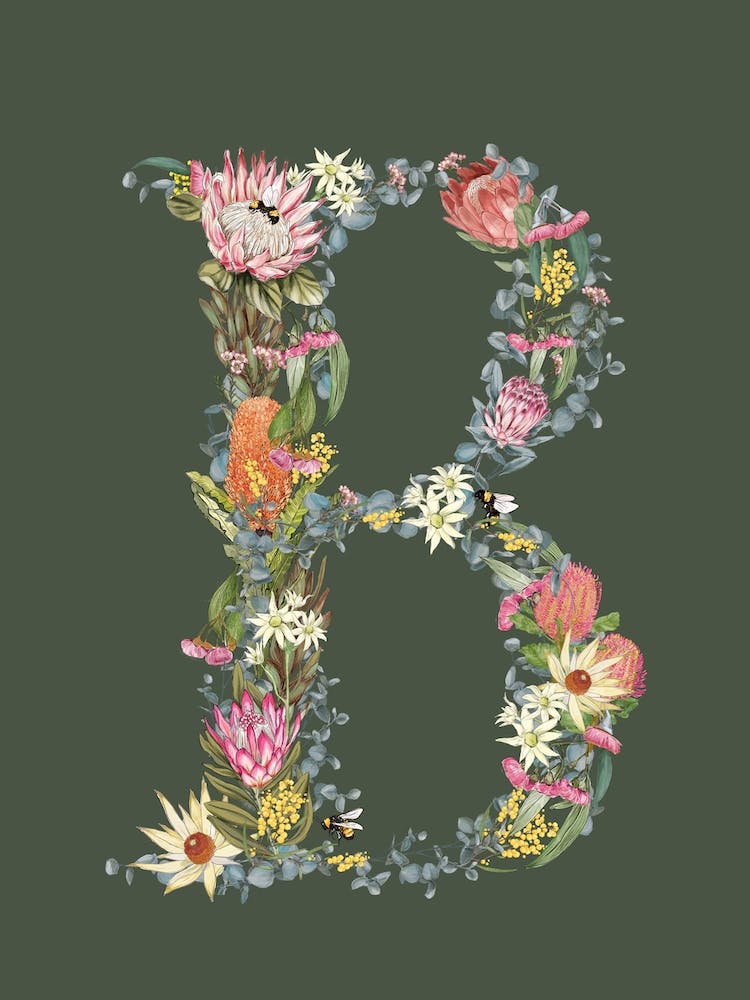 B Olive Alphabet Letter