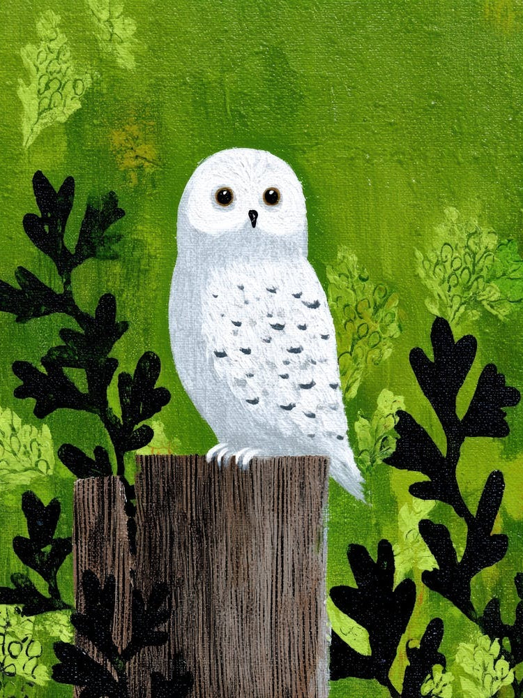 Snowy Owl 4