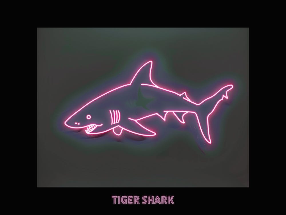 Neon Pink Tiger Shark Poster 3