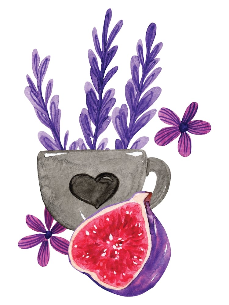 Lavender And Fig Watercolor Illustration