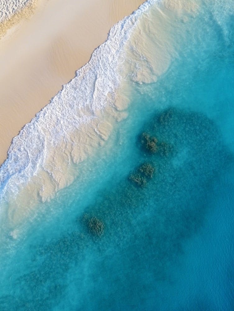 Aerial View Of A Beach 171
