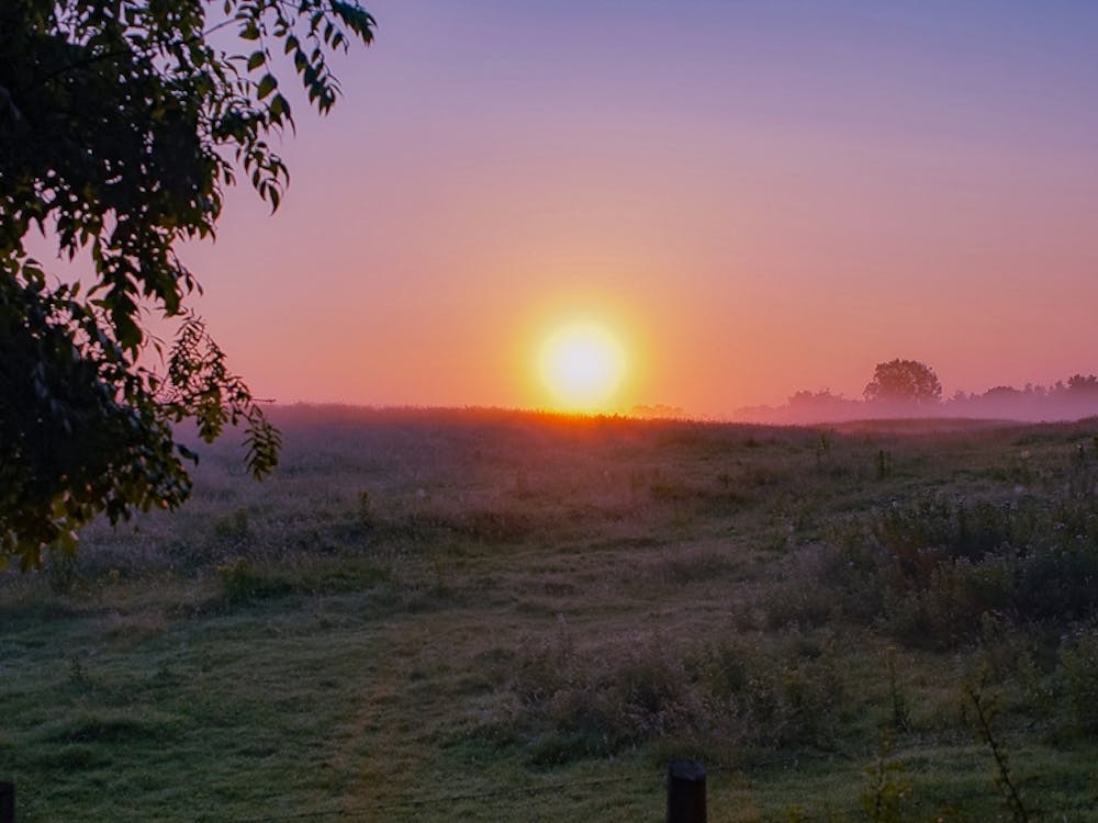 Sunrise Over A Field, Meath, Ireland