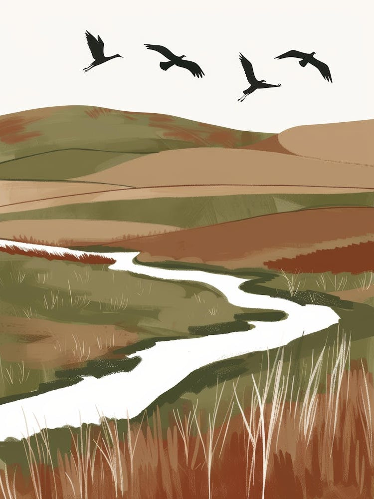 Birds Flying Over A River