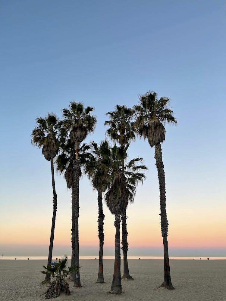 Santa Monica at 5:47am