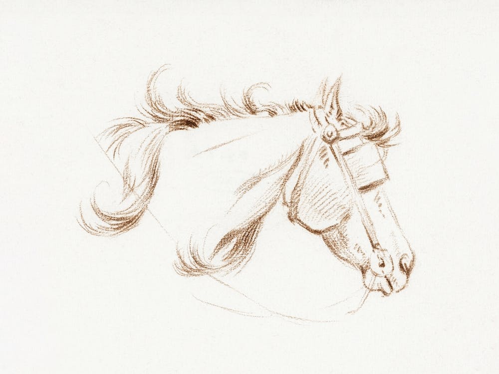 Head Of A Horse With Blinkers, Jean Bernard