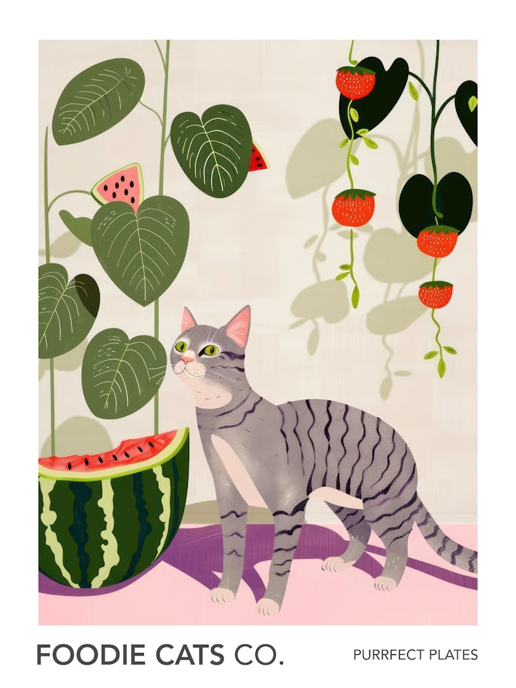 Foodie Cats Co Cat And Watermelon 4