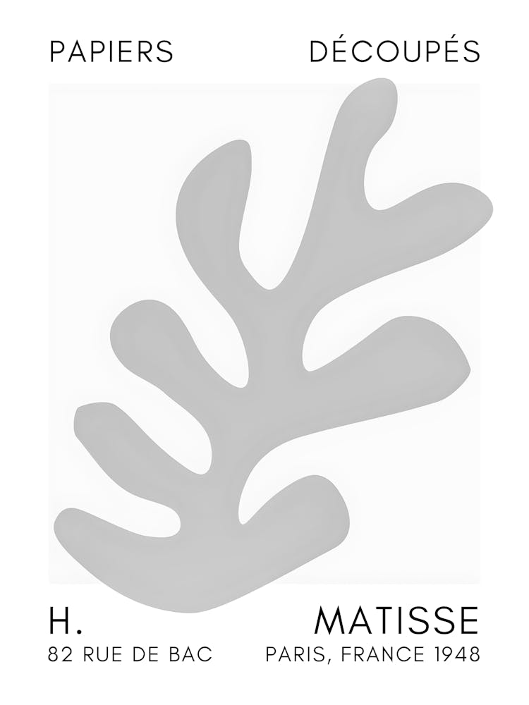 Matisse 16