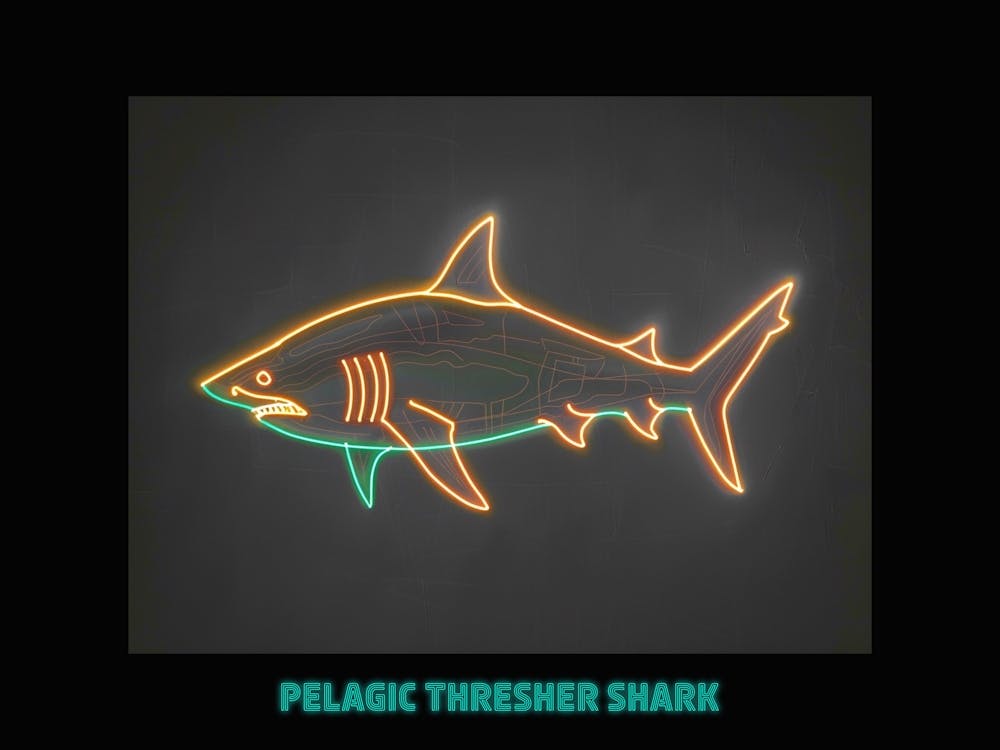 Neon Pelagic Thresher Shark 4 Poster
