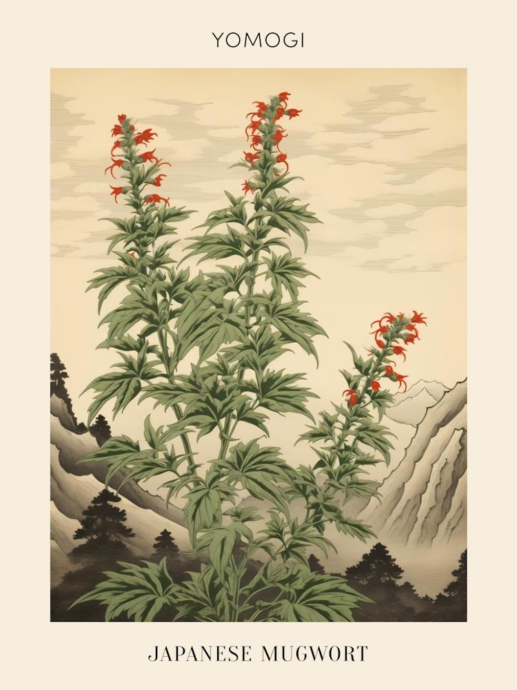 Yomogi Japanese Mugwort 1 Japanese Botanical Illustration Poster
