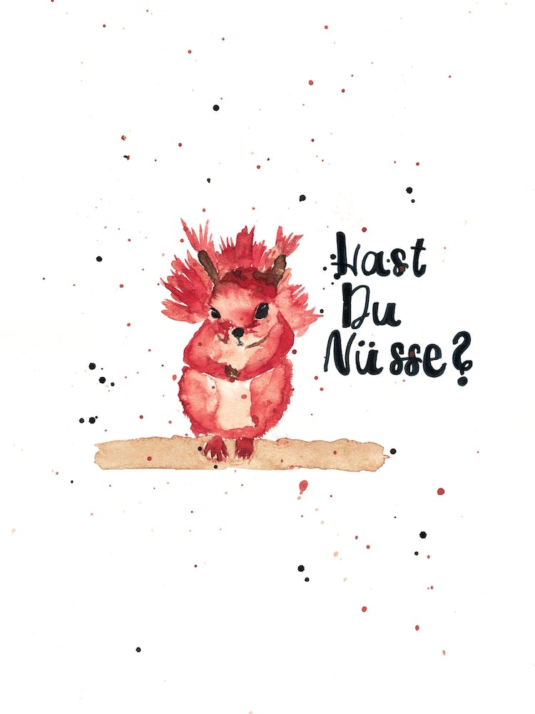 The Squirrel
