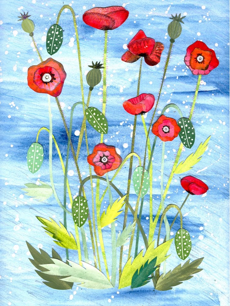 Poppies In Blue