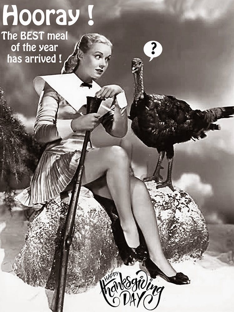 Funny Thanksgiving Poster With Pin Up Girl And A Turkey