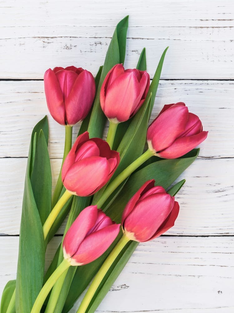 Red Tulips On A Wooden Background