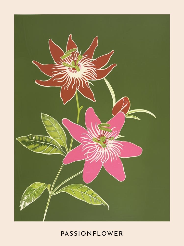 Pink & Green Passionflower 2 Flower Poster