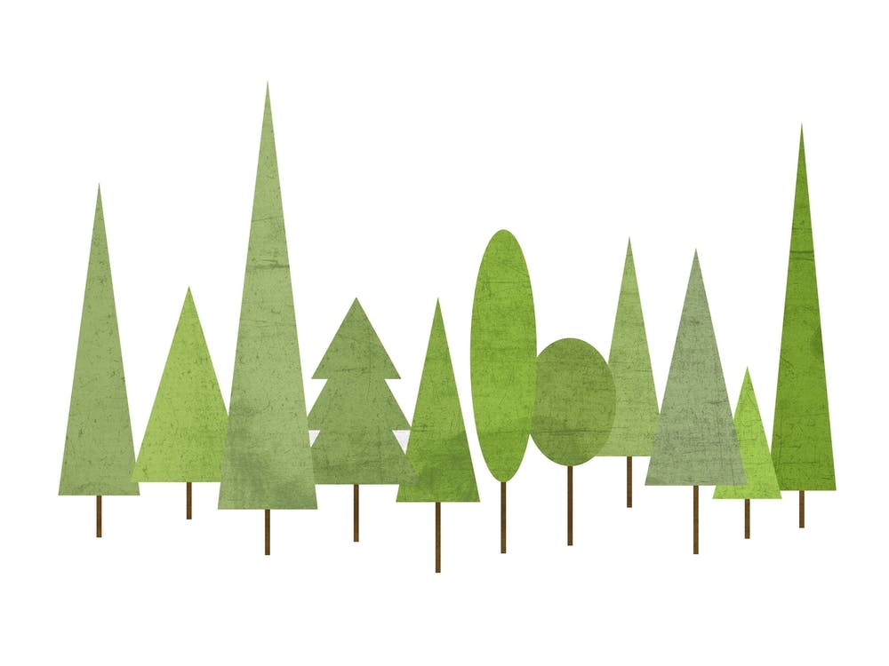 Scandinavian Trees Landscape