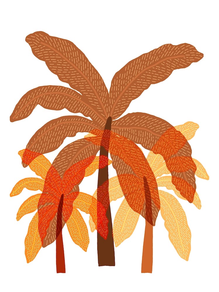 Trio Of Palm Terracota