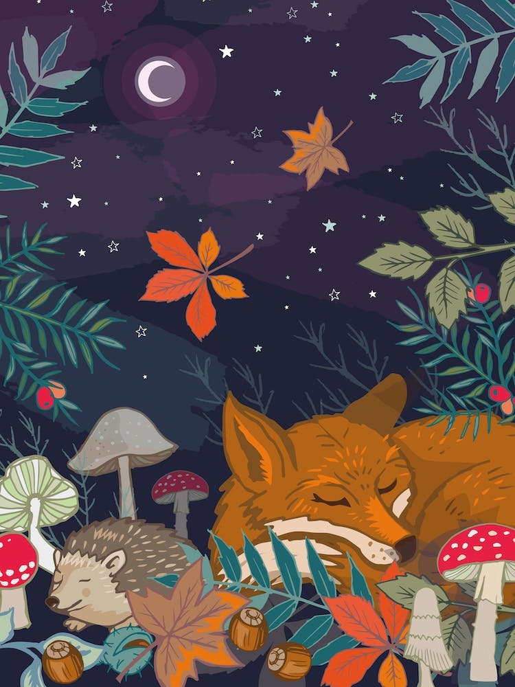 Hibernating Fox And Hedgeghog