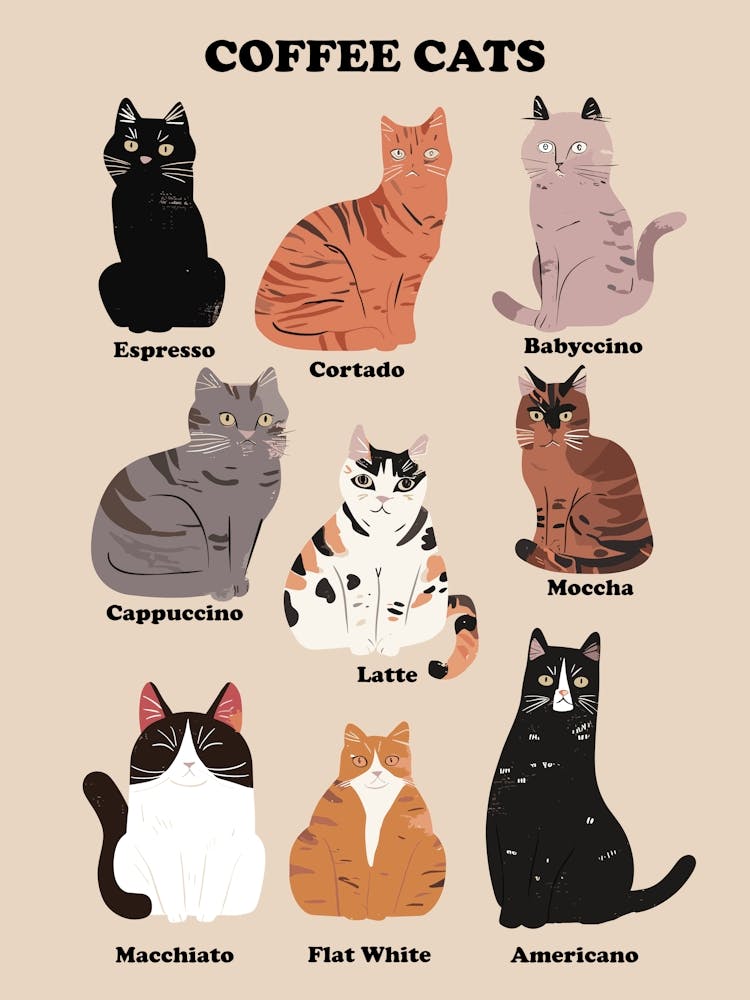 Coffee Cats Kitchen