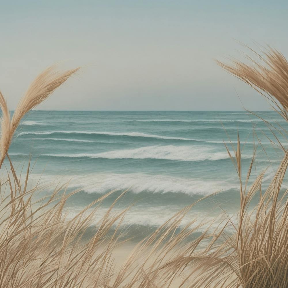 Eel Grass On The Beach