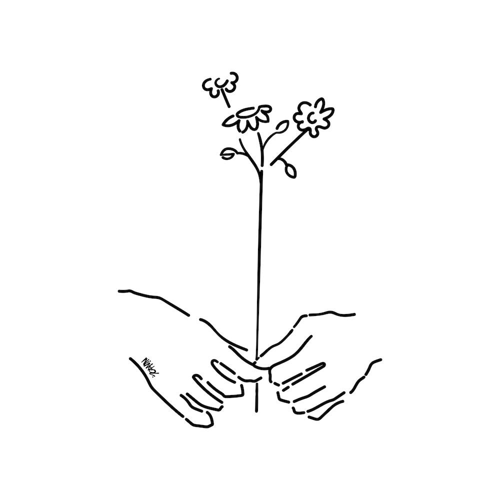Seed Square