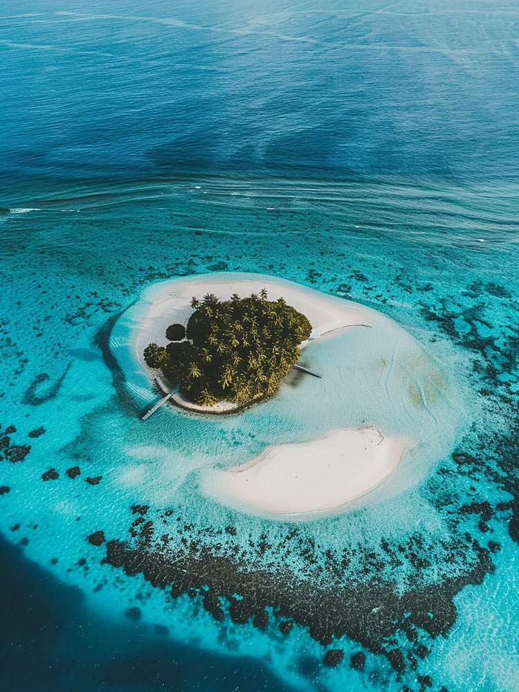 Island In The Maldives 5