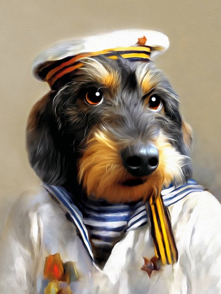 Dachshund Guusje The Sailor Pet Portraits