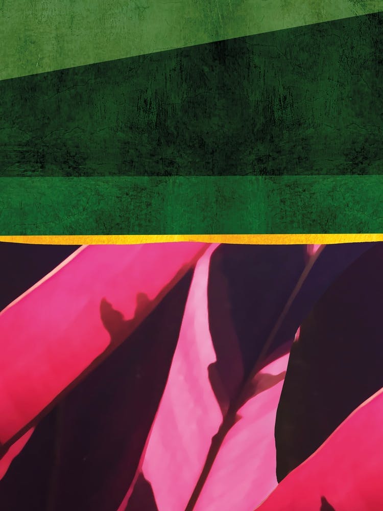 Green And Pink Vibrant 1