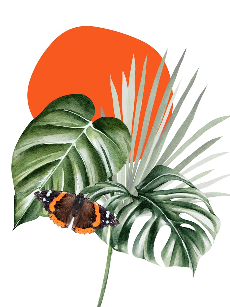 Butterfly On A Leaf 1