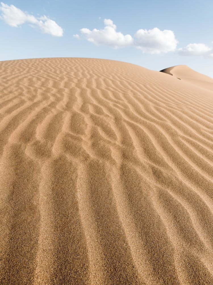 Labyrinth Of Sand In The Desert