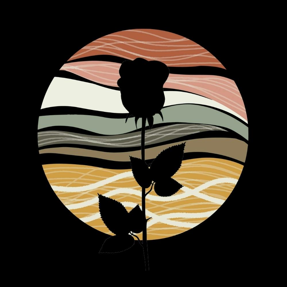 Sunset Rose