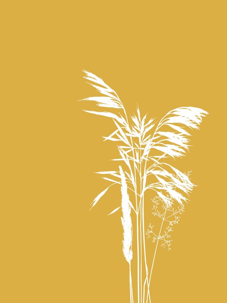 Yellow and White Grass Print 2