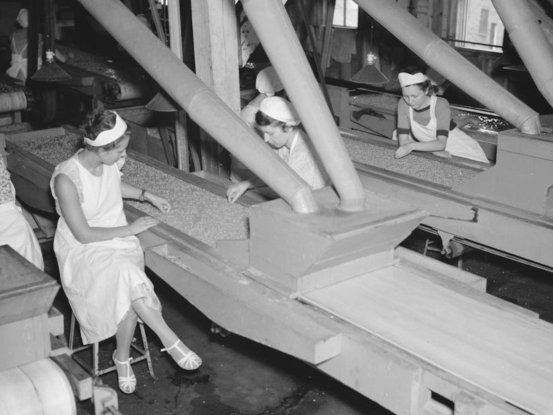 Girls Checking Quality Of Peas At Canning Factory, Sun Prairie, Wisconsin By Russell Lee