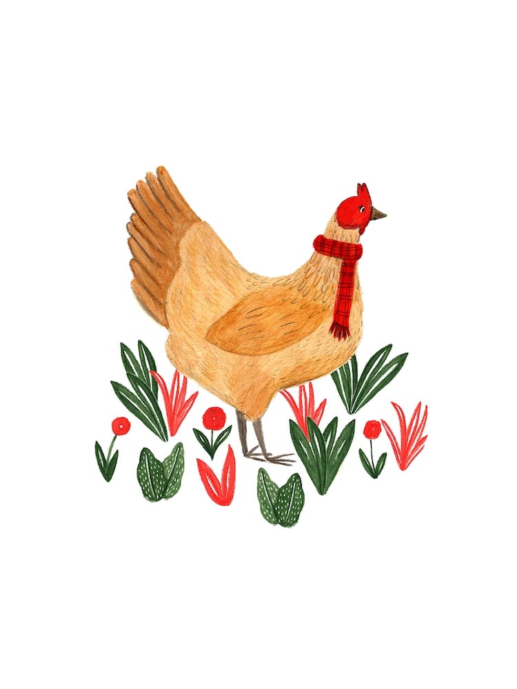 Chicken