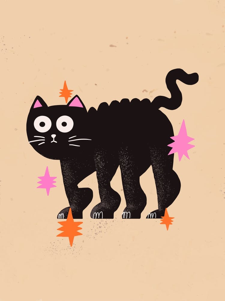 Black Cat