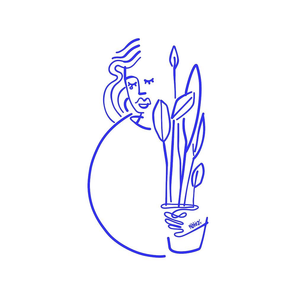 Plants In Blue Square