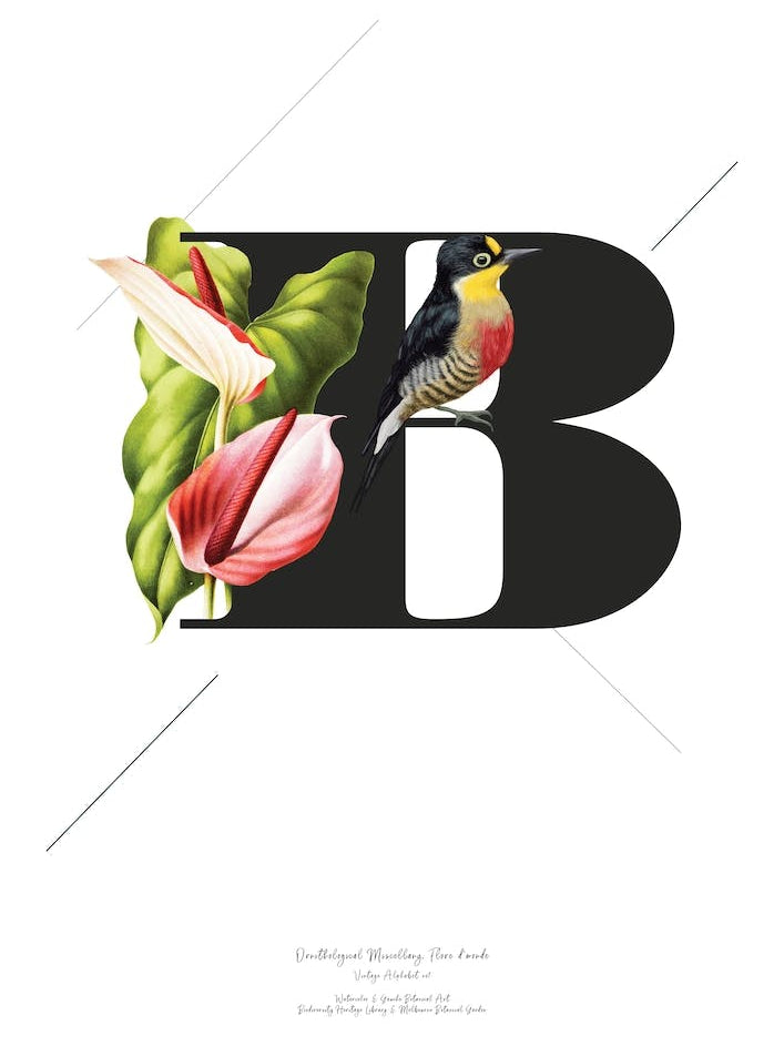 Botanical Alphabet B