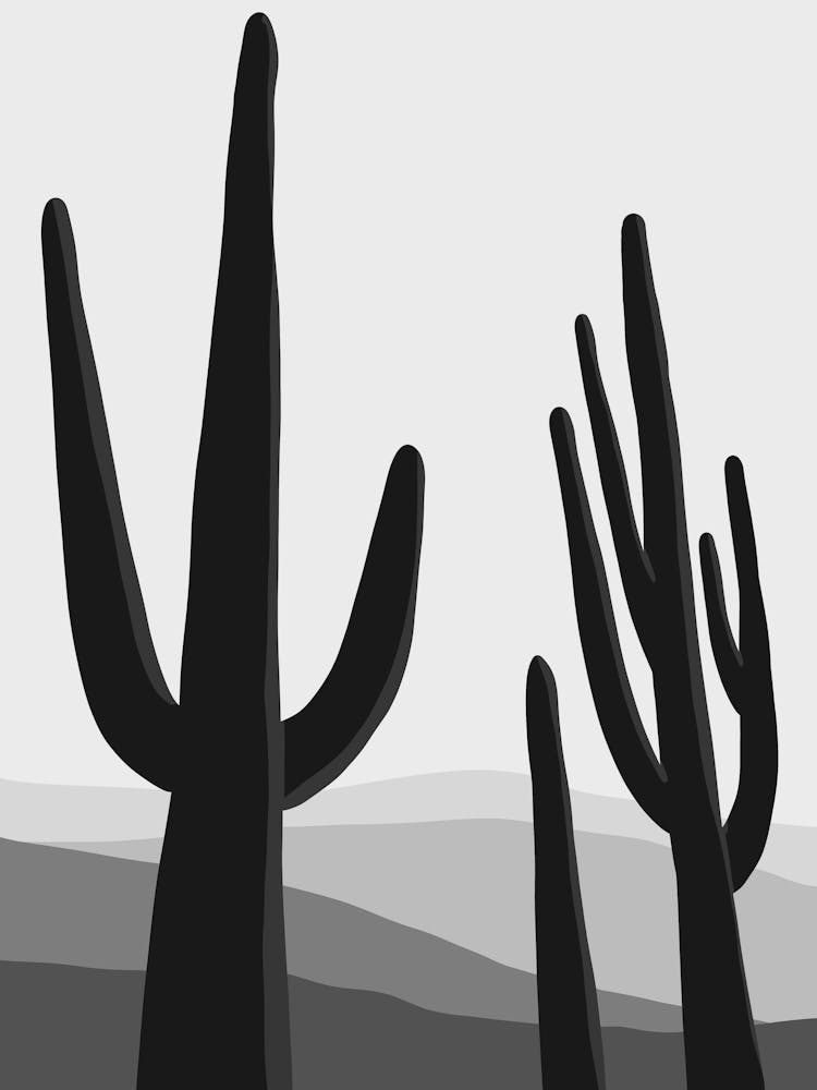 Cactus In The Desert 4