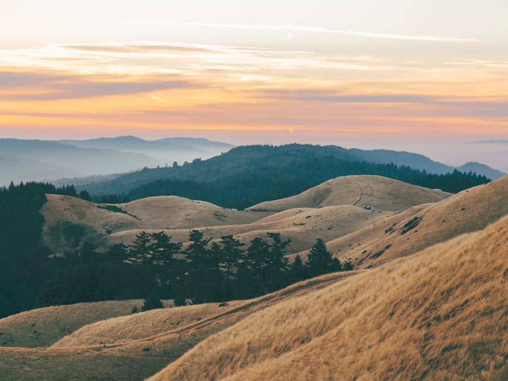 Mount Tam California