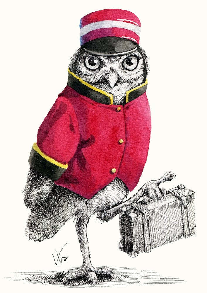 Porter Owl