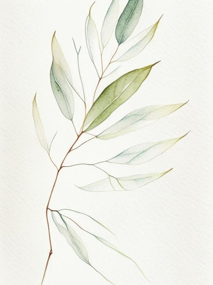 White Willow Leaf Minimalist Watercolour 6