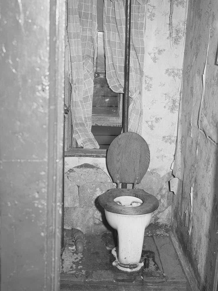 Toilet In Home Of Family On Relief, Chicago, Illinois By Russell Lee