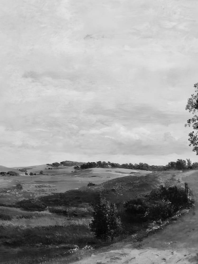 Road In The Countryside