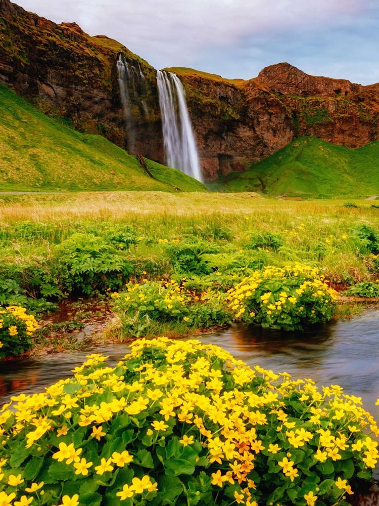 Wasserfall in Island 3