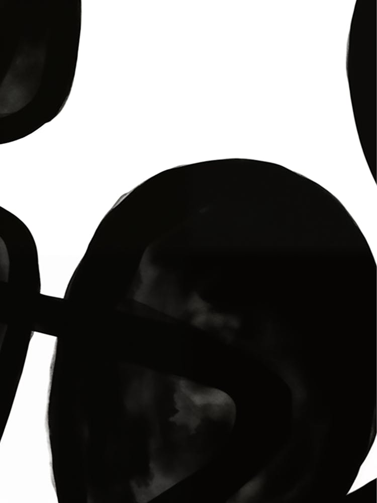 Black And White Panda