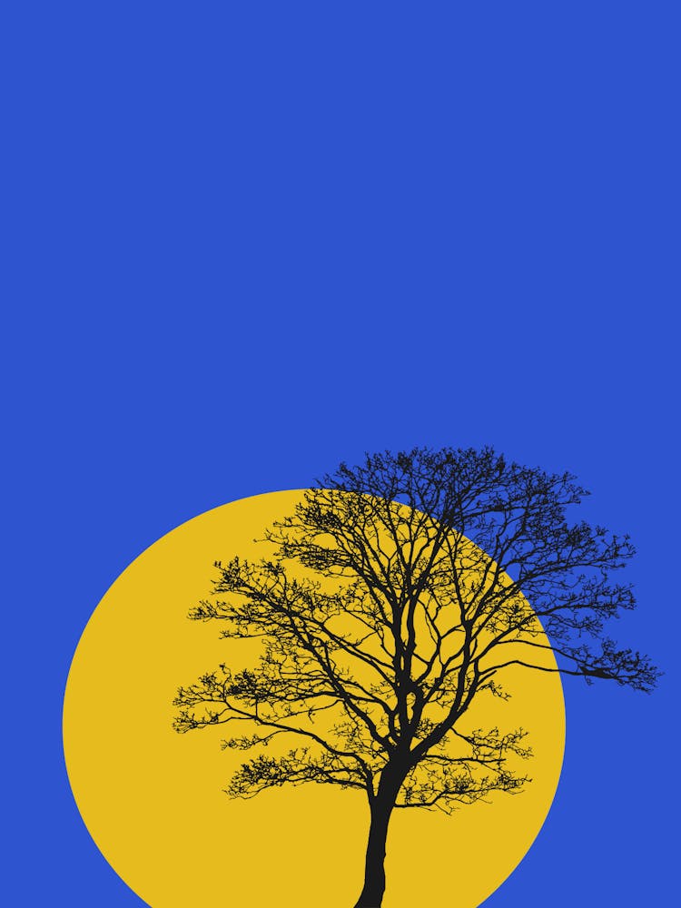 Lone Tree