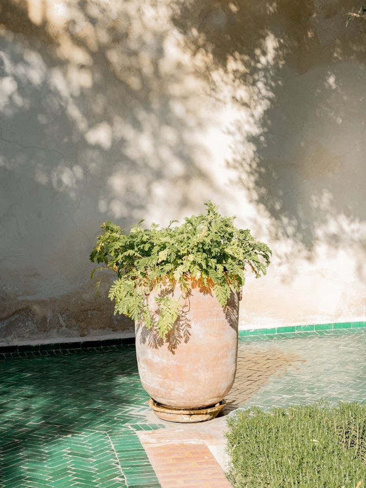 Sunny Alley In Marrakech