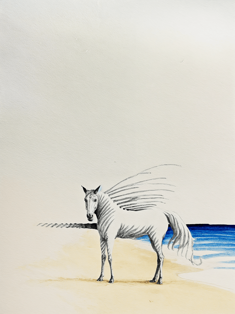 White Horse Sketch