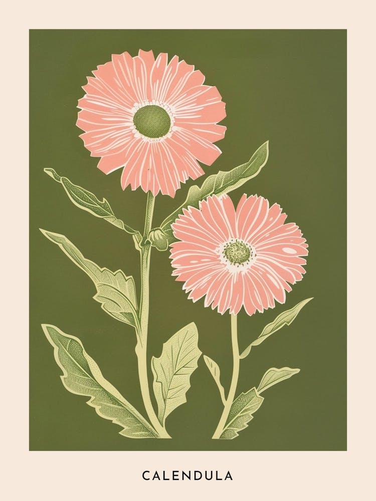 Pink & Green Calendula 1 Flower Poster