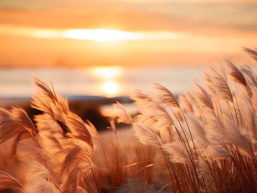 Beach Impressions No 15